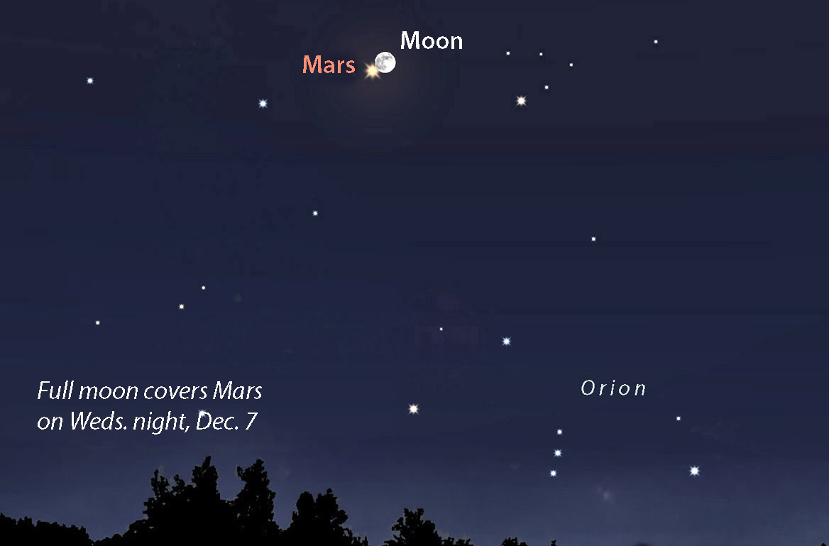 Astro Bob: Best astro events for December 2022 - Vimarsana News